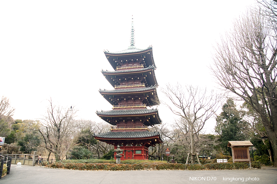 ueno park 24.jpg - 上野公園